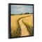 Stupell Industries Meadow Lined Country Path Floating Frame By Franklyn Gregory
